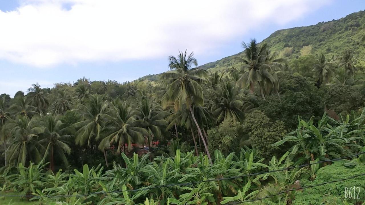 Homestay View Doi Hon Son Lai Son Экстерьер фото